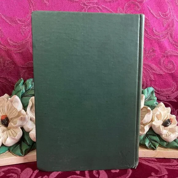 1910 Dutch Agnes: Her Valentine by W.G. Collingwood, Antique Book - Picture 10 of 10